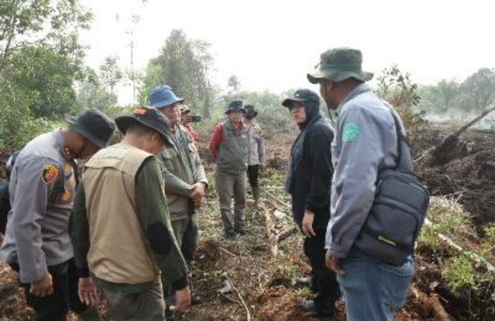 Bara Gambut Mengancam, Bupati Afni Turun Padamkan Karhutla di Cagar Biosfer Tasik Betung