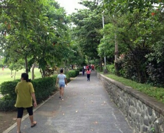 Puluhan Bibit Pohon Pemberian Gubri Bakal Bikin Rimbun Tahura SSH