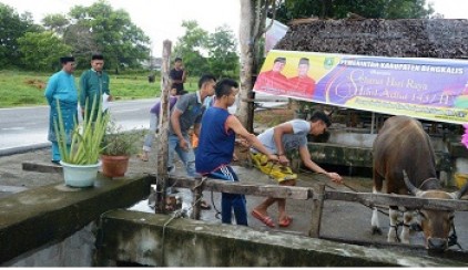  Plt Sekda Tinjau Pemotongan Hewan Kurban