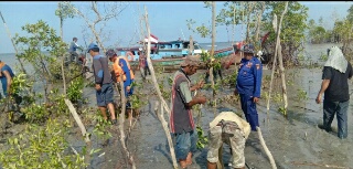 Peduli Penghijauan, Satpolair Polres Rohil Tanam Ribuan Bibit Magrov