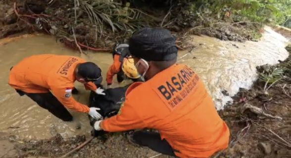 6 Hari Pencarian, Korban Terseret Banjir Bandang Pasaman Ditemukan Meninggal