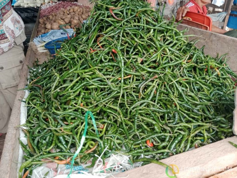 Jalur Distribusi Terganggu, Harga Cabai di Siak Makin Meroket