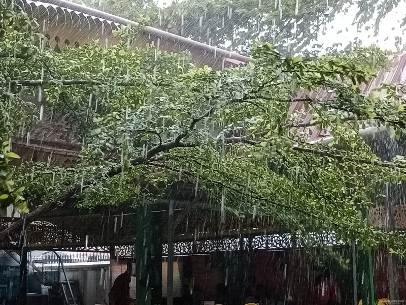 Hari Ini, Riau Berpotensi Diguyur Hujan Deras Disertai Petir