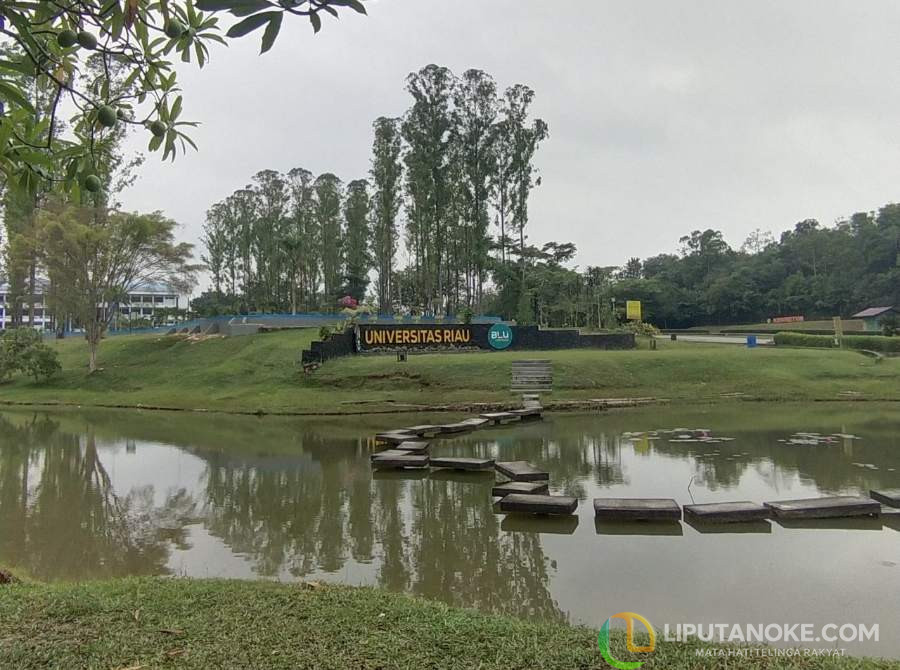 Raih Impianmu! Ini 10 Prodi di UNRI Paling Banyak Diminati Jalur SNBT 