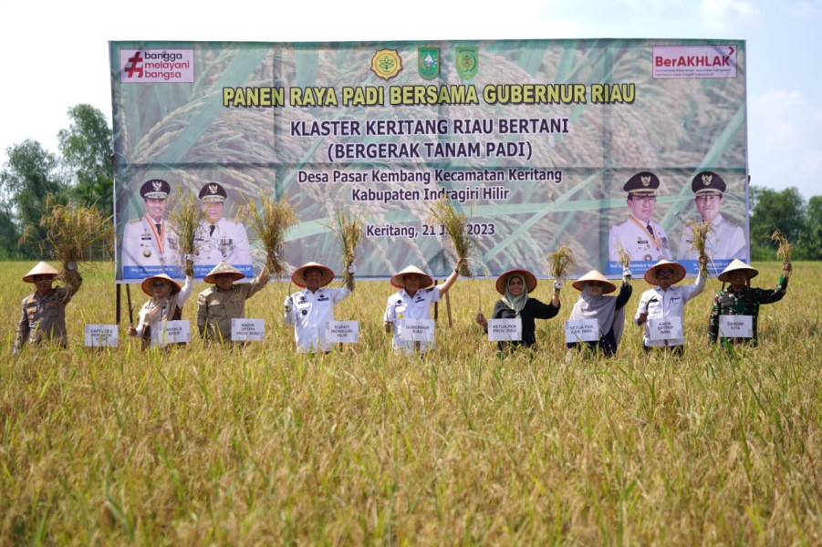 Gubri Syamsuar Panen Raya Padi di  Keritang Inhil