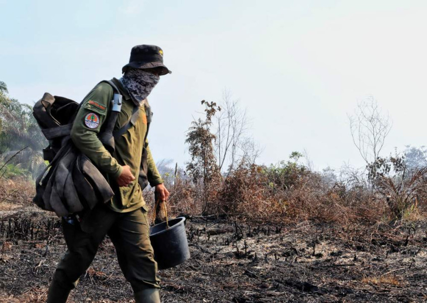 Sejak Januari 2024, Karhutla Hanguskan 19,10 Hektare di Riau