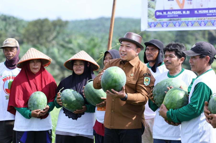 Harga Mantap, Petani Semangka Tasik Seminai Raup Untung