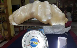 Wow, Nelayan Filipina Miliki Mutiara Seharga Rp1,3 Triliun