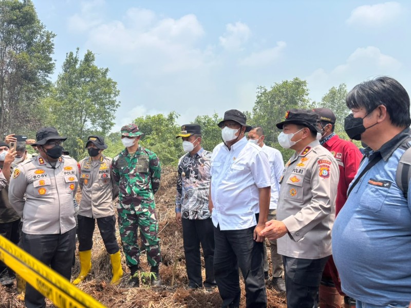 Menteri LH Tinjau Karhutla, 280 Hektare Lahan Gambut Kerumutan Pelalawan Hangus