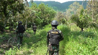 Satgas Madago Raya Buru Kelompok MIT Hingga ke Hutan