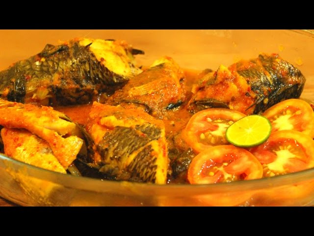 Sayang Jika Tidak Disajikan di Meja Makan, Simak Sederet Manfaat Ikan Gabus