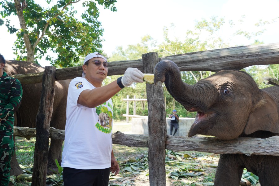 Gajah Tari Mati, Kapolda Riau Marasa Kehilangan
