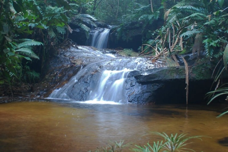 Sambangi Inhu, Belum Lengkap Kalau Belum Nikmati  Pesona Air Terjun yang Masih Asri di TNBT dan Destinasi Wisata Danau Raja