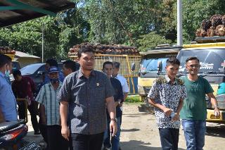 DPRD Kuansing Meradang TBS Petani Dihargai Tak Wajar, Adam Minta Harga Mengacu Pergub