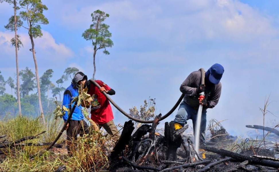 602 Hotspot Kepung Sumatera: Babel-Sumsel Tertinggi, Pelalawan Sumbang 50 persen Titik di Riau