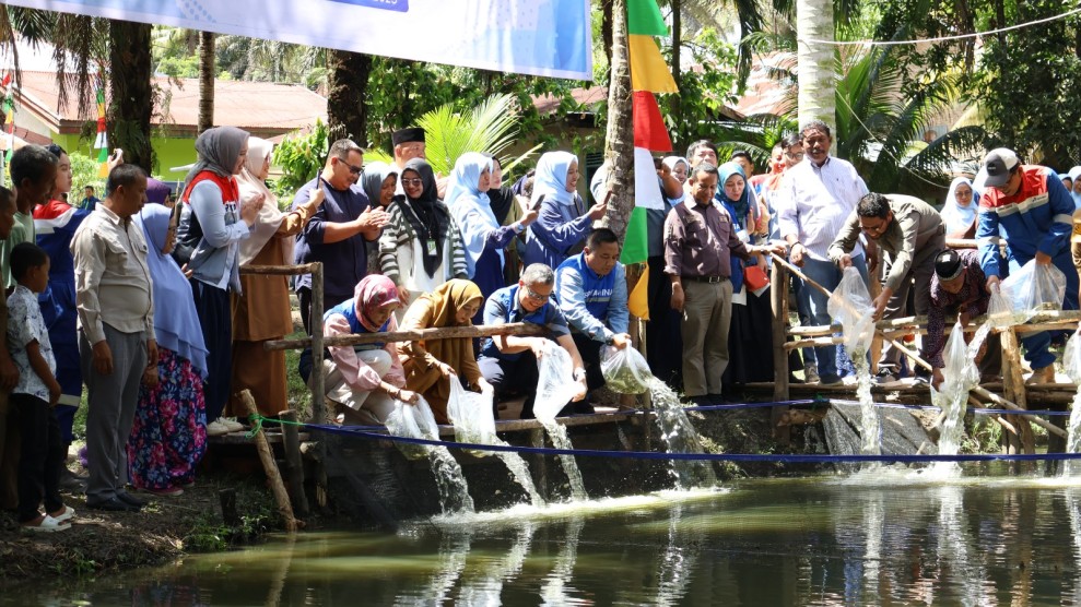PHR Dorong Ekonomi Masyarakat Minas melalui Sektor Perikanan Berbasis Akuaponik