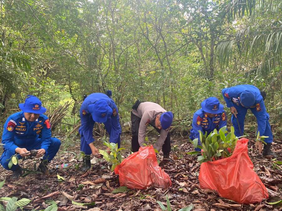 Polair Polres Pelalawan Tanam Mangrove Cegah Pesisir Pantai dari Abrasi