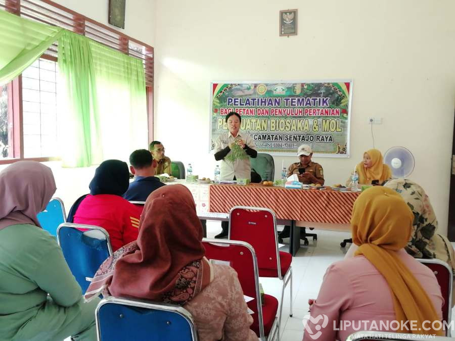 BPP Sentajo Raya Taja Pelatihan Tematik Pembuatan Biosaka dan Mol Bagi Petani