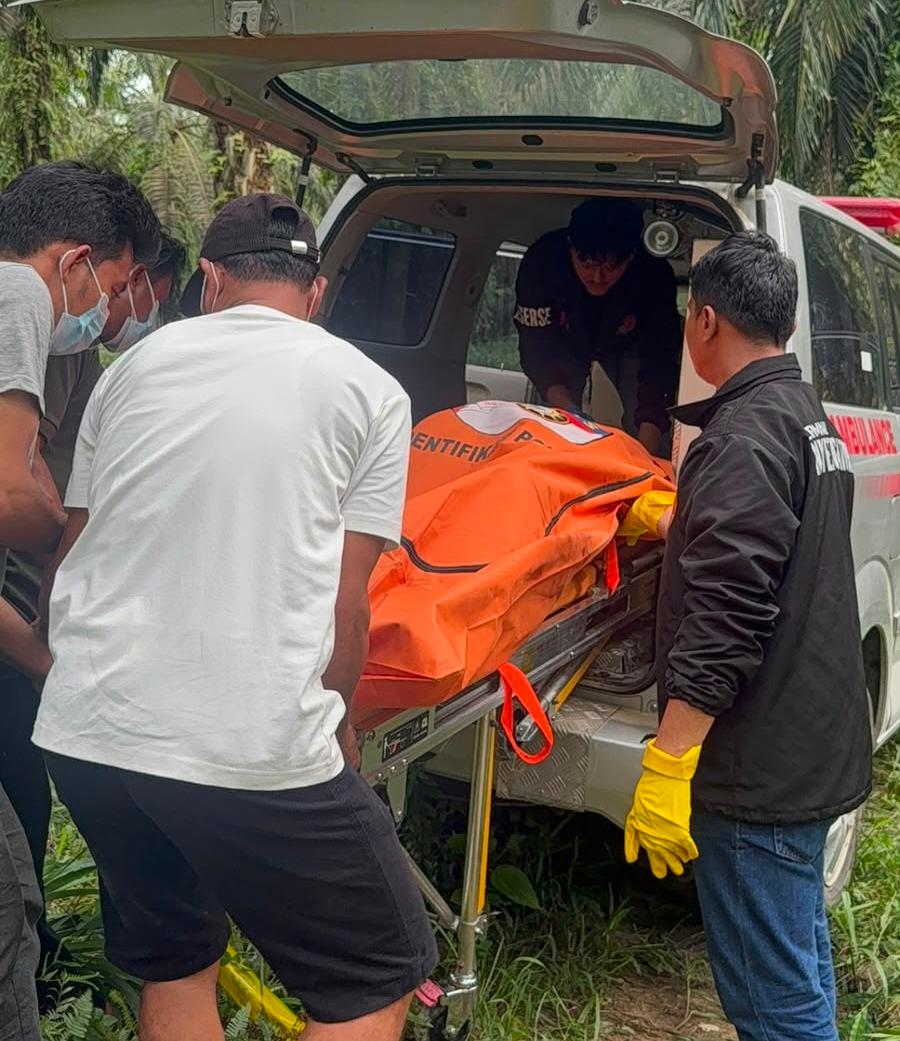 Mayat Pria Ditemukan Membusuk di Kebun Sawit Pelalawan