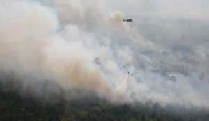  Lahan Milik Pemkab Bengkalis Terbakar