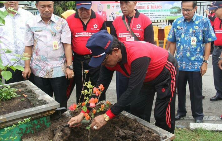 PMR  Inhil Tanam Pohon Disepanjang Jalan