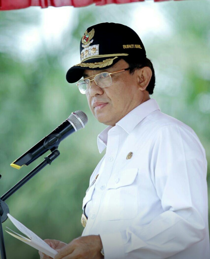 HM Wardan Terus Benahi Perkebunan Kelapa