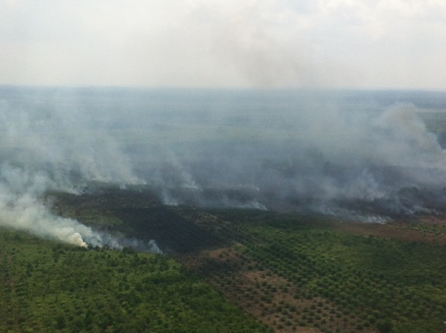 Giliran Sumbar Penyumbang Titik Panas Terbanyak di Sumatra