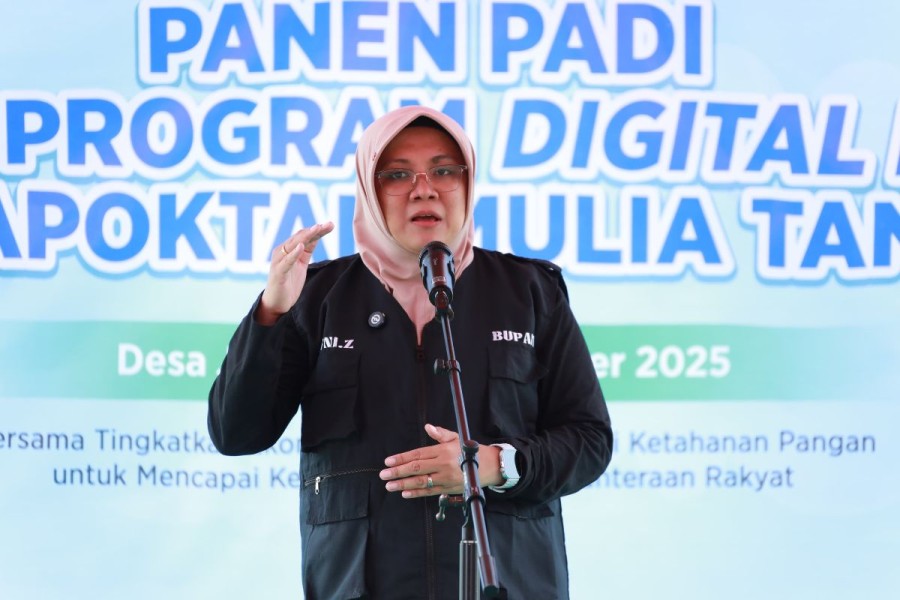Hadiri Panen Padi Digital Farming, Bupati Siak Afni Optimis Panen Meningkat