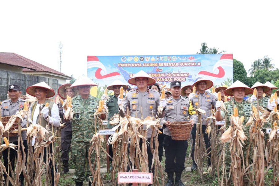 Panen Raya Jagung di Pekanbaru, Polda Riau Perkuat Peran Dukung Ketahanan Pangan Nasional