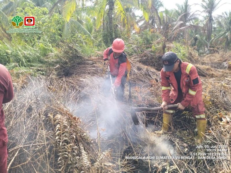 Terpantau 193 Titik Panas di Sumatera Hari Ini,   Riau Terdeteksi 31, Terbanyak di 2 Daerah Ini