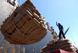 Geliat Ekspor Pertanian RI ke Vietnam