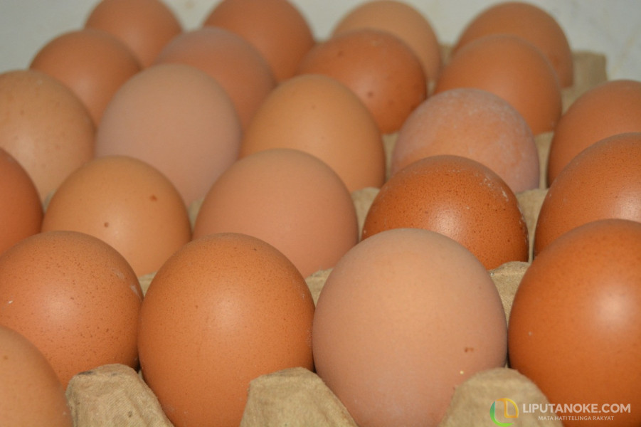 Harga Daging Ayam dan Telur Melambung di Riau, Ternyata Ini Penyebabnya