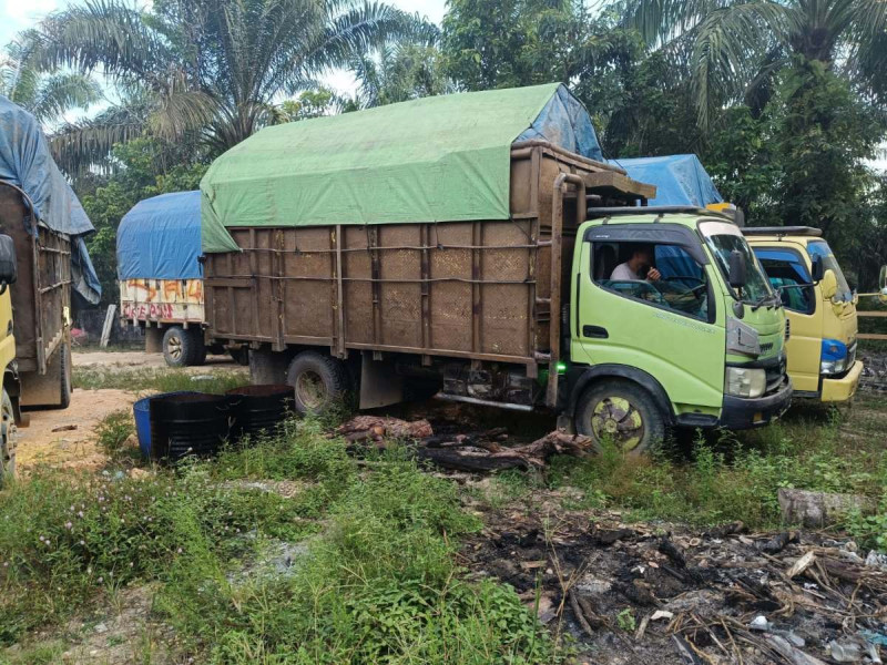 Polisi Sergap Empat Truk Pengangkut Kayu Ilog, 1 Orang Diamankan 3 Orang Lainnya Berhasil Kabur