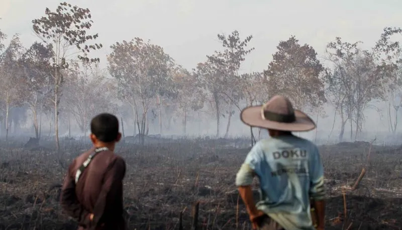 Sepanjang 2024, BNPB.Catat  Ada 629 Kasus Karhutla, Terbanyak di Provinsi Ini