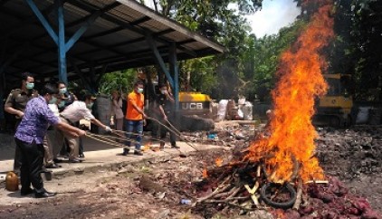 Saat Dibakar, Bawang Merah Ilegal di Bengkalis Meledak