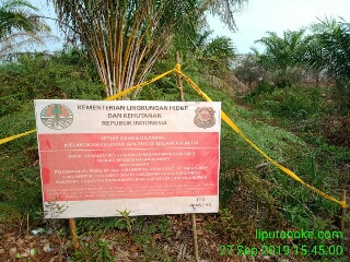 Tegas Gakkum KLHK Nyatakan Mengusut PT GH & PT TI