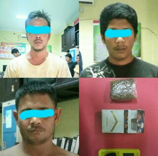 Polres Kuansing Bongkar Jaringan Narkotika Jenis Ganja, Tiga Diduga Pelaku Diamankan