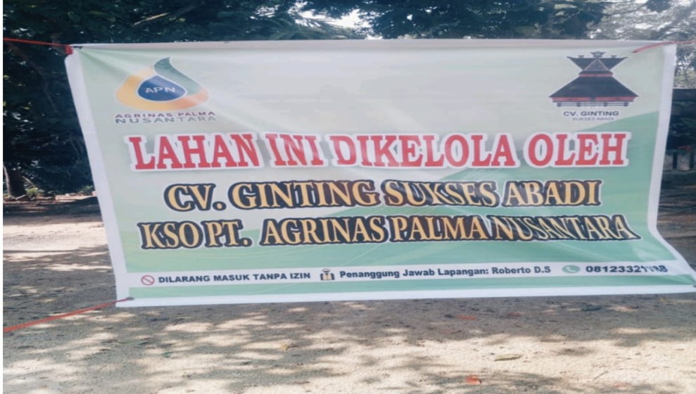 Kebun Sawit Milik Warga Didatangi OTK, 2 Ton Tandan Sawit Raib