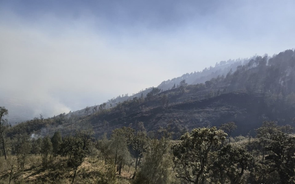 Kebakaran Rinjani Tembus 1.098 Hektare, Api di Lereng Utara Sangkareang Masih Menyala