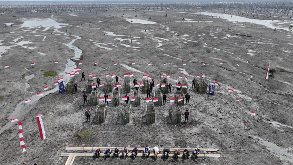 Ekspedisi Merah Putih Presisi Tembus Kuala Selat, 500 Hektare Mangrove Disiapkan Hadapi Abrasi