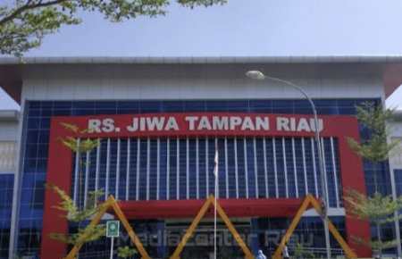 Satu Peserta Calon Direktur RSJ Tampan Gugur, 4 Nama Masuk Diseleksi Pansel