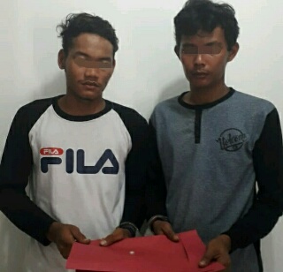Dua Pemuda Desa Sialang Dua Dahan di Ringkus Polres Inhu
