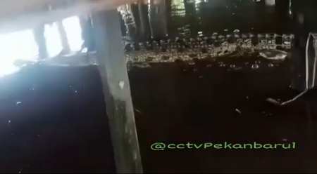 Serem! Penghuni Sungai Siak Menampakkan Diri, Panjangnya Hampir Lima Meter