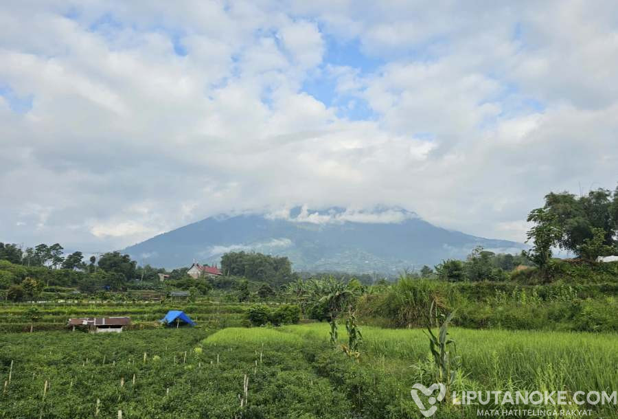 Erupsi dan Makan Korban, Jalur Pendakian Gunung Marapi Sumbar Resmi Ditutup