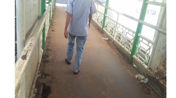 Waspada, Sejumlah Jembatan Penyeberangan Orang di Pekanbaru Rawan Ambruk