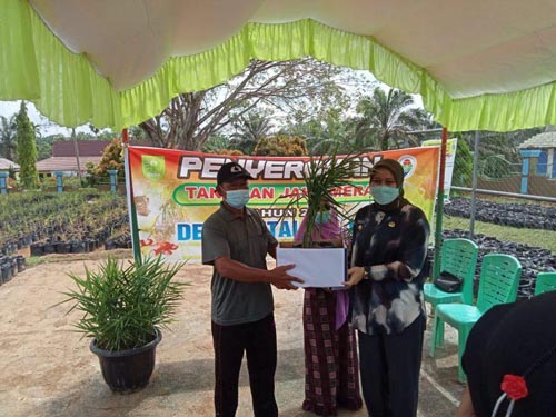 Bupati Inhu Rezita Meylani Yopi Serahkan 12.000 Bibit Jahe Kepada Masyarakat Desa Petaling Jaya