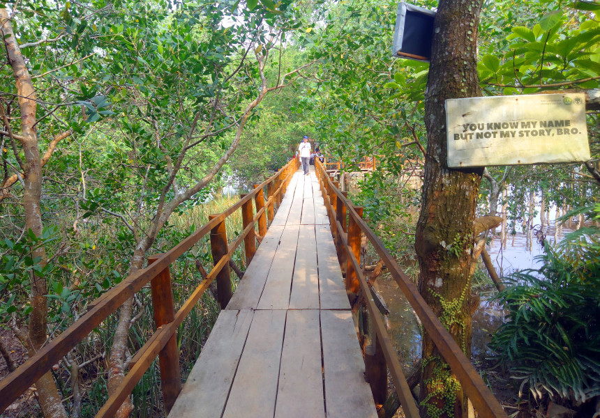 Berpotensi Jadi Wisata Favorit, Dispar Pekanbaru Kepincut Kelola Pulau Semut