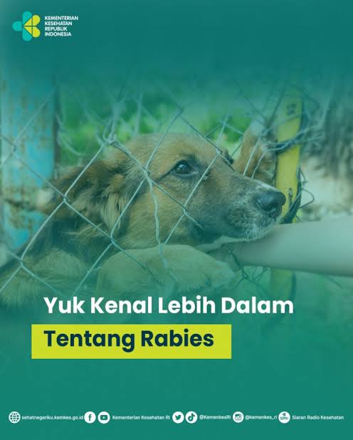 Lakukan Ini Saat Digigit Hewan Rabies