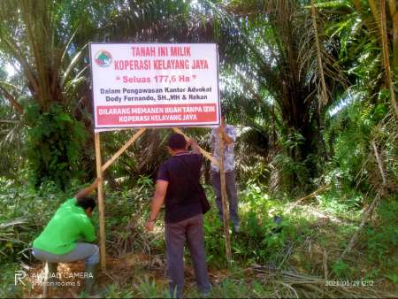 3 Koperasi Pasang Plang di Lahan Milik PT SRK, Ancam Demo Bila Tak Ditanggapi