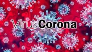Penyebaran Virus Corona Sudah Hampir Merata di Provinsi Riau, Sudah Masuk di 11 Kabupaten Kota
